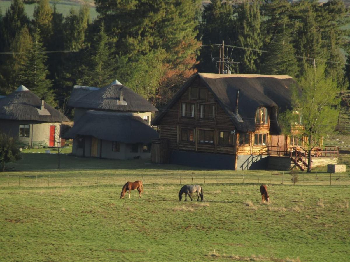 Khotso Lodge & Horse Trails Ъндърберг Екстериор снимка