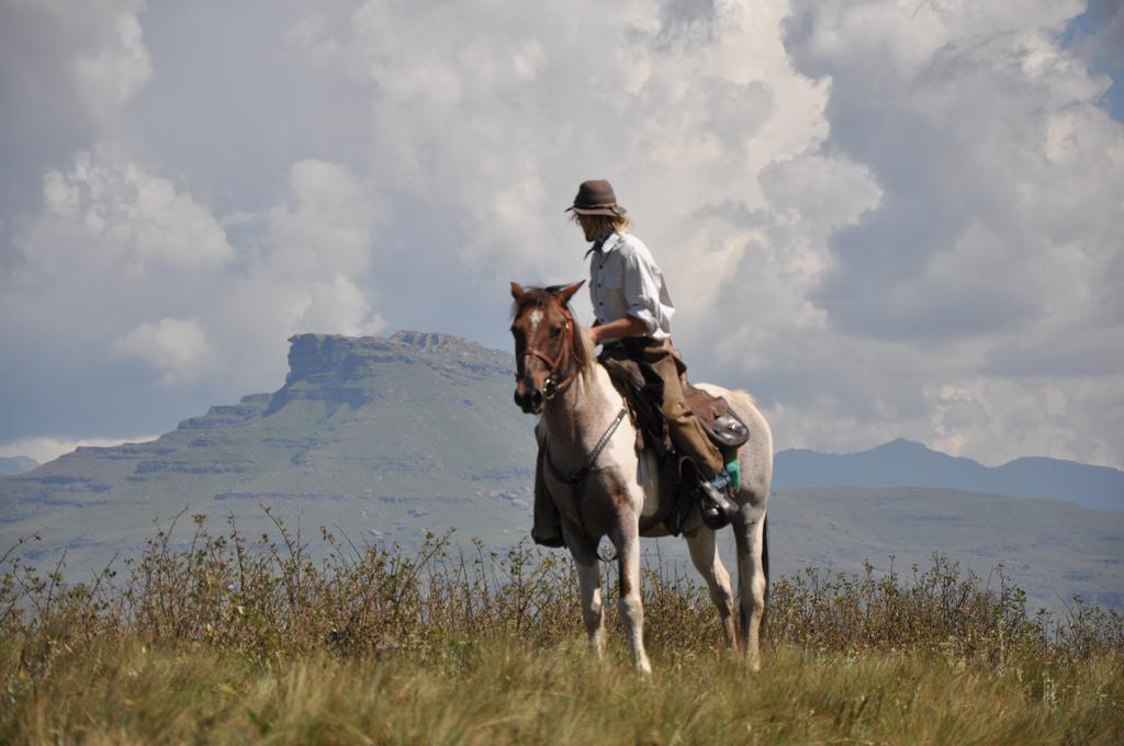 Khotso Lodge & Horse Trails Ъндърберг Екстериор снимка